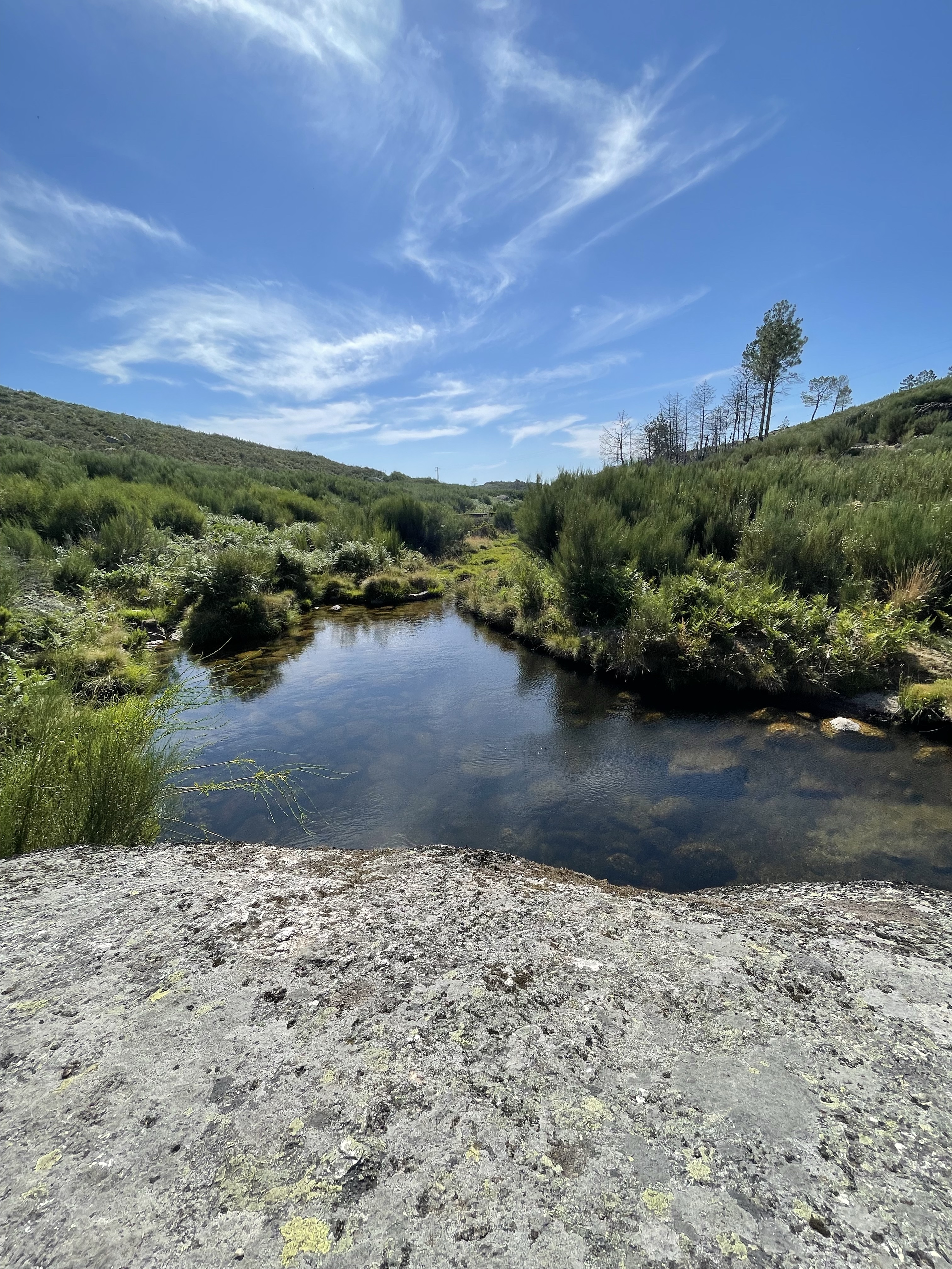 Promenade en montagne à la recherche des brebis