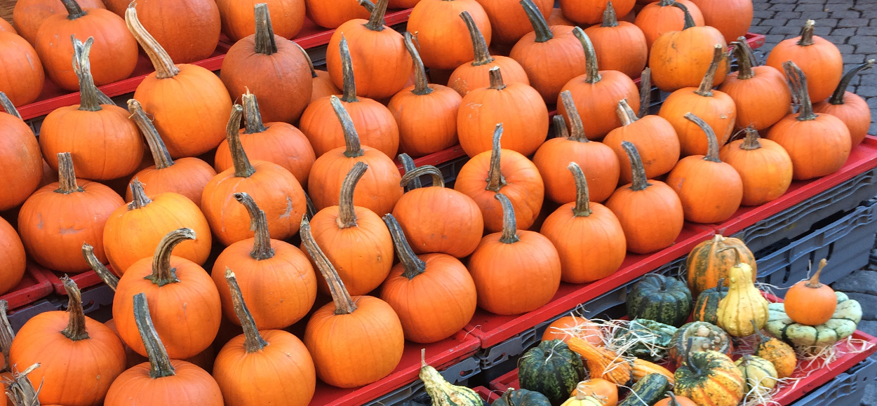 Les Meilleures Courges d&rsquo;Hiver et Comment les Utiliser